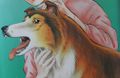Lassie kansi2.jpg