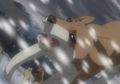 Sasuke-anime-15.jpg