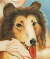 Lassie kansi.jpg